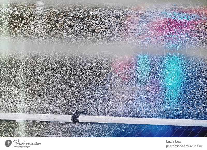 Asphalt, rain wet roadway with reflections of various lights Rain Gray Wet Lane markings lane Light clearer Blue Red purple Reflection Street Water Transport