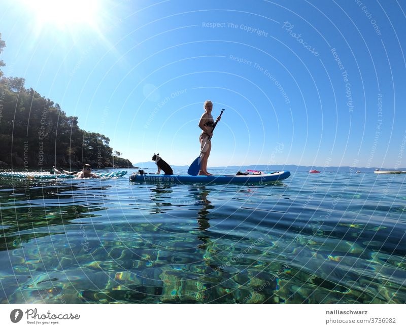 Paddling with the dog Athletic Sunlight Tourism Swimming & Bathing Movement Joy Sports Training Adults Freedom Relaxation Colour photo Lifestyle Adventure