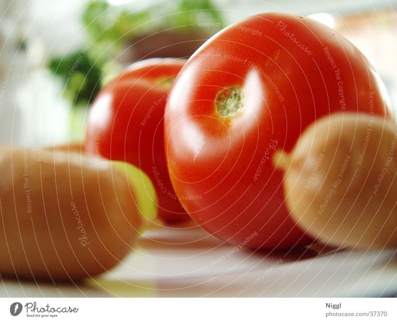 Tomatoes and sausages Red Small sausage Nutrition Food Vegetable Macro (Extreme close-up) niggl