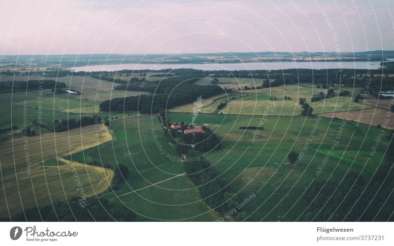 Mecklenburg Switzerland aerial photograph drones UAV view Field Harvest Meadow Lawn Lanes & trails cross green Bird's-eye view curvaceous Street huts acre