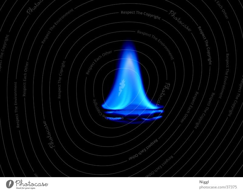 Sambuca Dark Burn Photographic technology sambuca Flame Blaze schnapps Blue Alcoholic drinks niggl