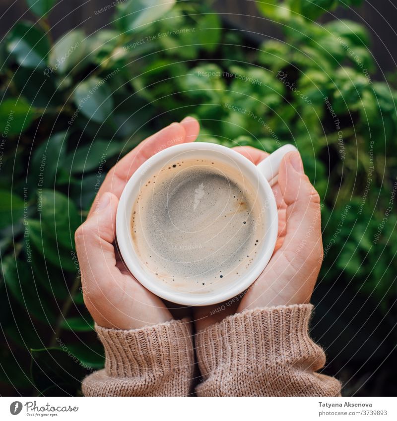 Cup of coffee in hands with plant background cup drink warm sweater knitted plants hot holding woman breakfast morning beverage caffeine mug black espresso