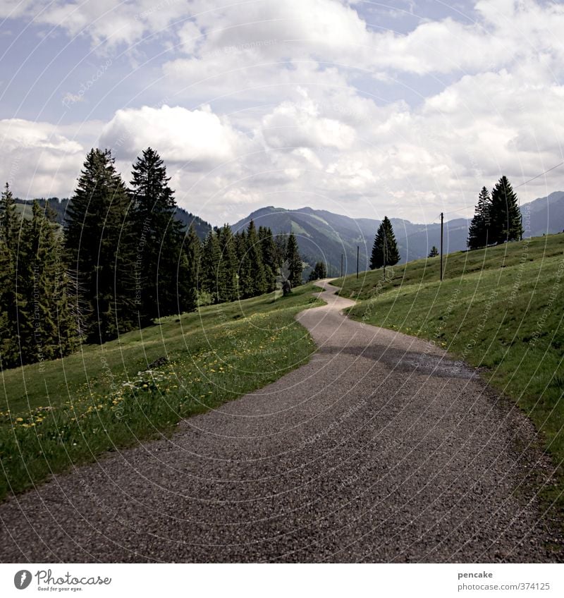 shifting weather Hiking Nature Landscape Elements Earth Sky Clouds Horizon Sunlight Summer Forest Alps Lanes & trails Optimism Trust Longing Wanderlust Change