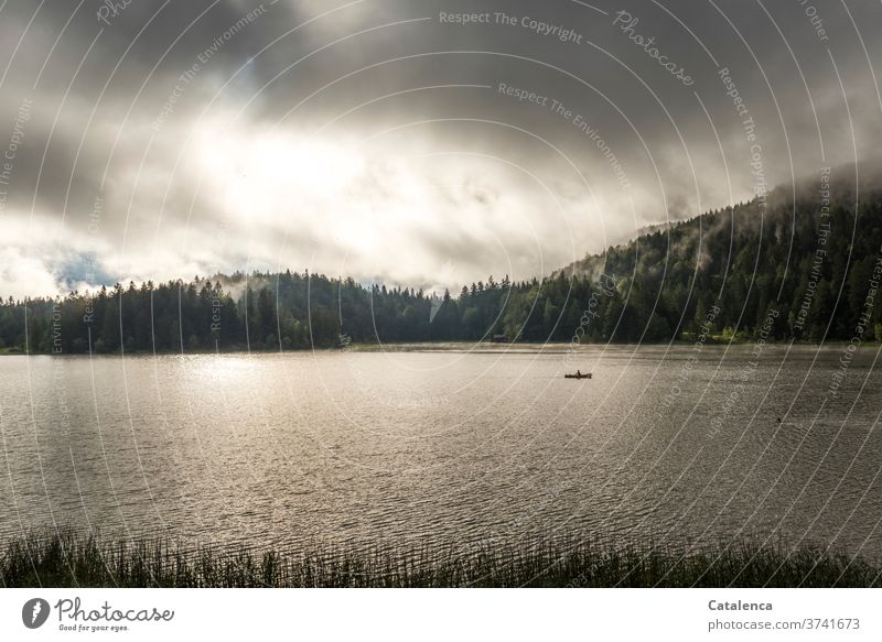 An angler and a swimmer on and in the lake in the early morning Lake Lakeside Sky Water Landscape Nature Environment Plant Rowboat be afloat Juncus firs