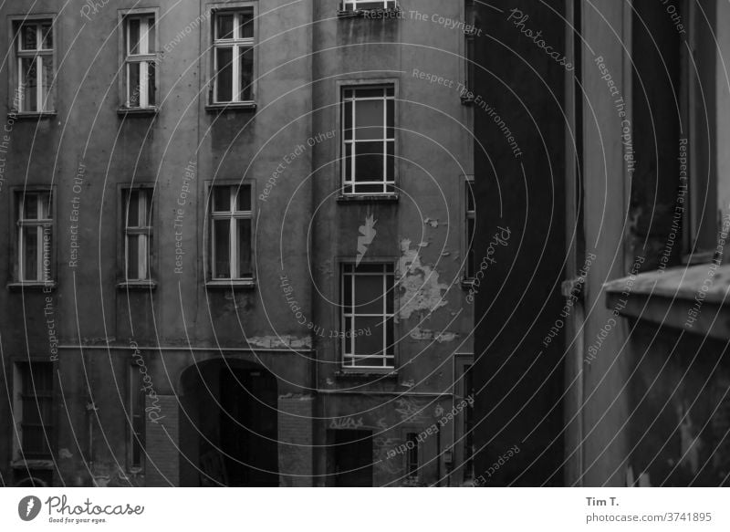 Backyard Berlin Monochrome House (Residential Structure) Window Facade Town Old building Deserted Downtown Prenzlauer Berg Old town Capital city Day