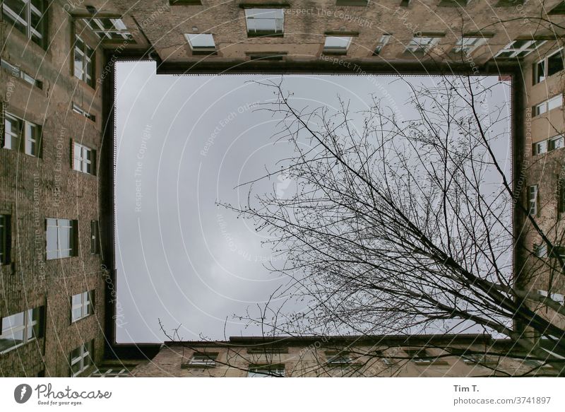 a glimpse of the sky Backyard Berlin Old building tree Upward Deserted House (Residential Structure) Town Downtown Window Old town Capital city Day