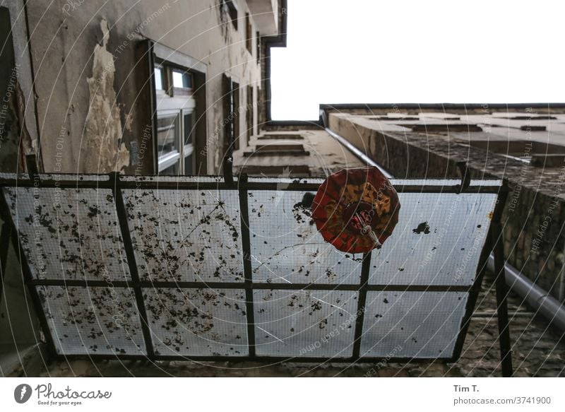 Backyard Berlin Upward Courtyard Prenzlauer Berg Deserted House (Residential Structure) Downtown Day Town Old town Capital city Window Exterior shot