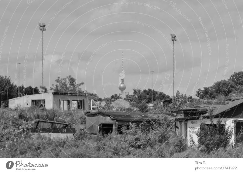 I had a garden in Berlin Neukölln Monochrome Television tower Berlin TV Tower Garden Building for demolition Sky Landmark Town Exterior shot Architecture