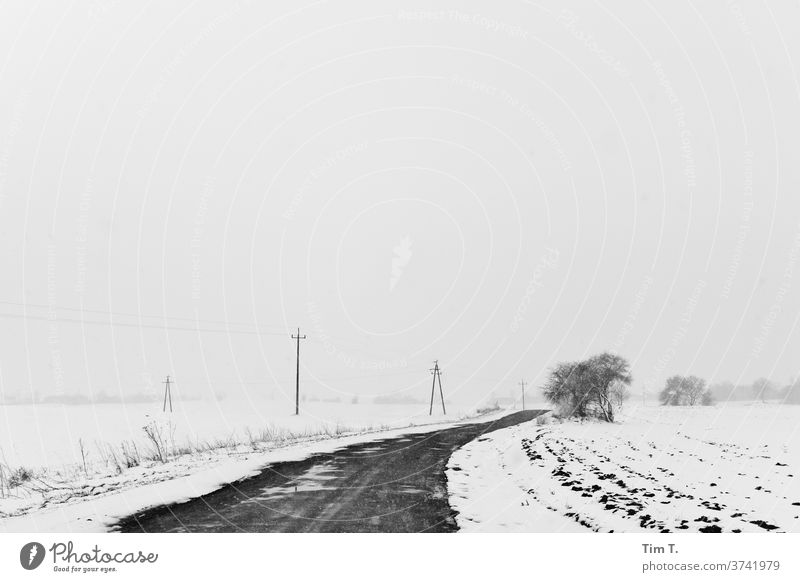 Winter road in Poland poliska Road traffic Snow Exterior shot Deserted Street Traffic infrastructure Frost Day Transport chill Motoring Ice Lanes & trails