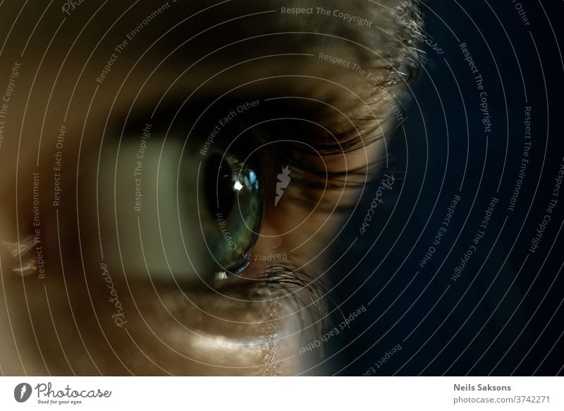 close up of a human eye eyelashes Human being Eyelash Eyes Looking Pupil Iris Eyebrow Face Close-up Macro (Extreme close-up) Skin Vision Blue Detail