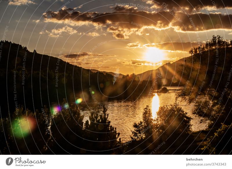 vital | sunlight Orange Nature Contrast Night Bright conceit Clouds Hope Light Environment Gorgeous Dream romantic Romance Vineyard Reflection Water Wanderlust