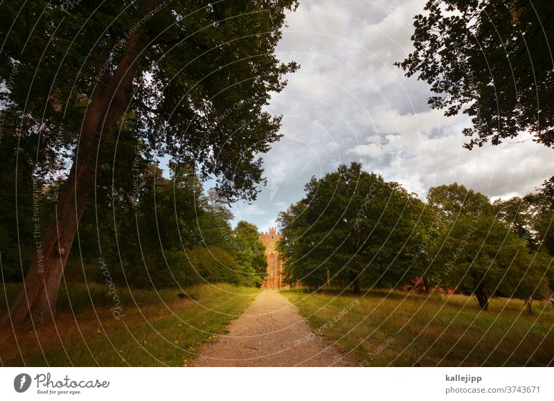 Chorin Monastery monasteries Monastery chruch Chorin cloister monastery ruin Colour photo Religion and faith Church Europe Wall (barrier) House of worship