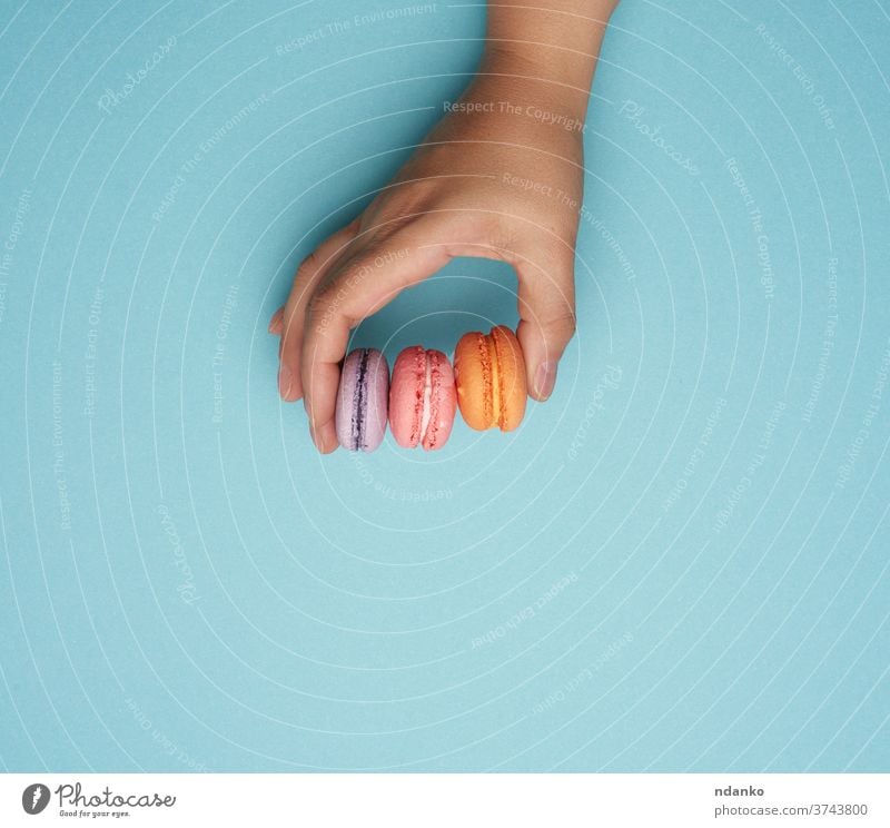 female hand holds three round baked macarons cookies on a blue background caucasian almond assortment bakery baking biscuit cake candy choice circle closeup