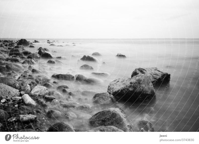 Stones in the sea Ocean Baltic Sea Baltic coast stones Water Beach Pebble beach Fog rock Rock dream Dream bank vacation mysterious Mystic mysticism wide far