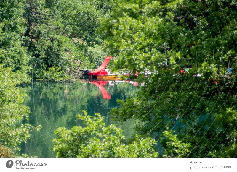 slip Lake Forest Forest lake Slide Red bright red Water slide pleasure Open-air swimming pool Natural outdoor pool bathing fun water features splash around Skid