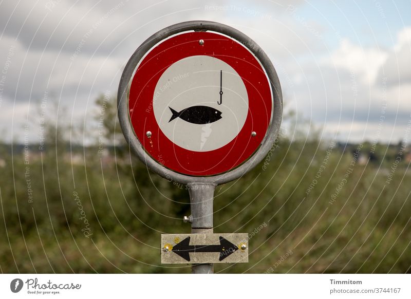 Information sign - simply leave the fish alone! Signage Prohibition sign Fish Fishing (Angle) Signs and labeling Bans Exterior shot Deserted Red White Sky