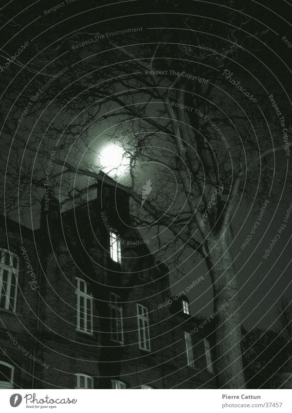 haunted house Eerie Black Dark Tree Night Architecture Moon