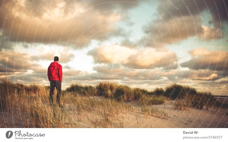 Man stands in the dunes at sunset by the sea tranquillity Holidaymakers Vacation & Travel Relaxation Ocean gap Marram grass Beach Lonely