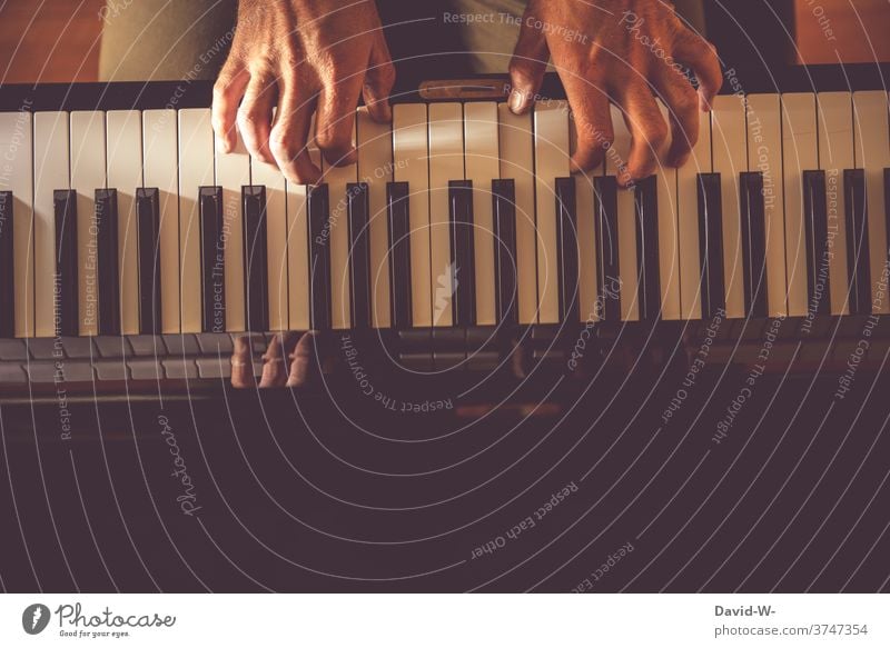 dexterity on the piano | dynamic Play piano Musician Culture Musical instrument Make music practice Artist Sound hands Piano keyboard Virtuoso