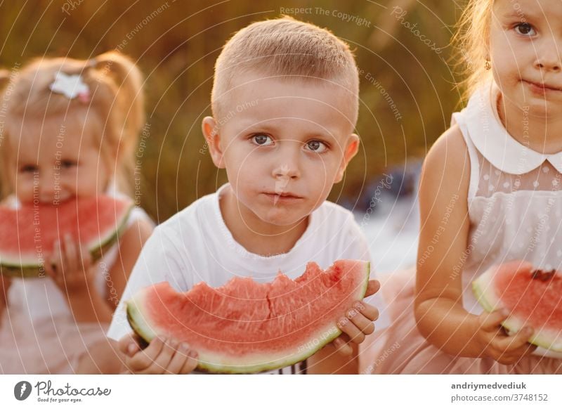 happy kids eating watermelon in summer at sunset in the field. summer picnic. happy childhood. selective focus. casual evening fresh countryside blanket sitting