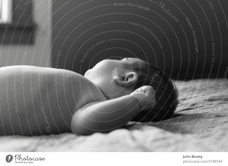 baby lying on bed looking towards window infant child 0 - 12 months infancy childhood linen small cute relaxed candid newborn ear cheeks baby hair window light