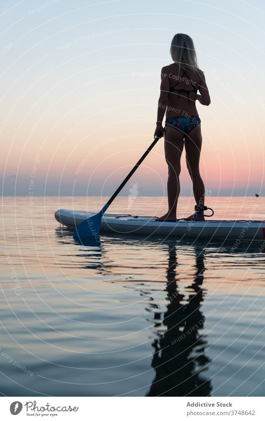 Anonymous woman practicing on paddleboard at sunset surfer sup board silhouette row sea training surfboard female summer sporty stand calm water sundown sky