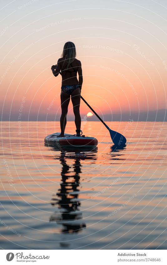 Anonymous woman practicing on paddleboard at sunset surfer sup board silhouette row sea training surfboard female summer sporty stand calm water sundown sky