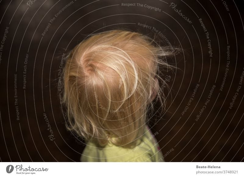 Whirlwind: tousled toddler hair Toddler Head Disheveled whirlwind spirited Wild frisky Blonde Childlike Energized Hair and hairstyles Human being Feminine Girl