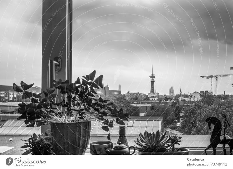 Grey Monday morning in November, view from the window of a Cologne city apartment dwell Architecture Flat (apartment) Window Vantage point Town Television tower