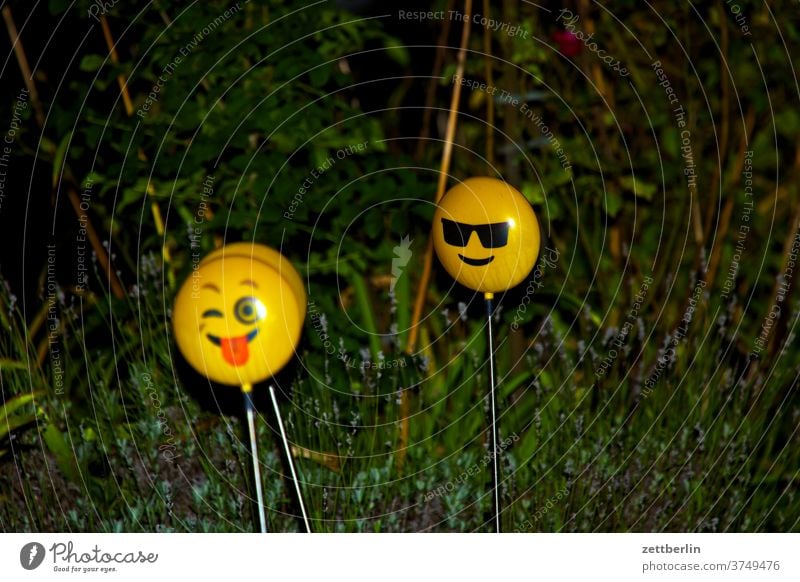 Smileys in real life Face portrait two Couple Lamp light Garden Grass Hedge Neighbor neighbourhood Evening Night at night lightning bolt flash