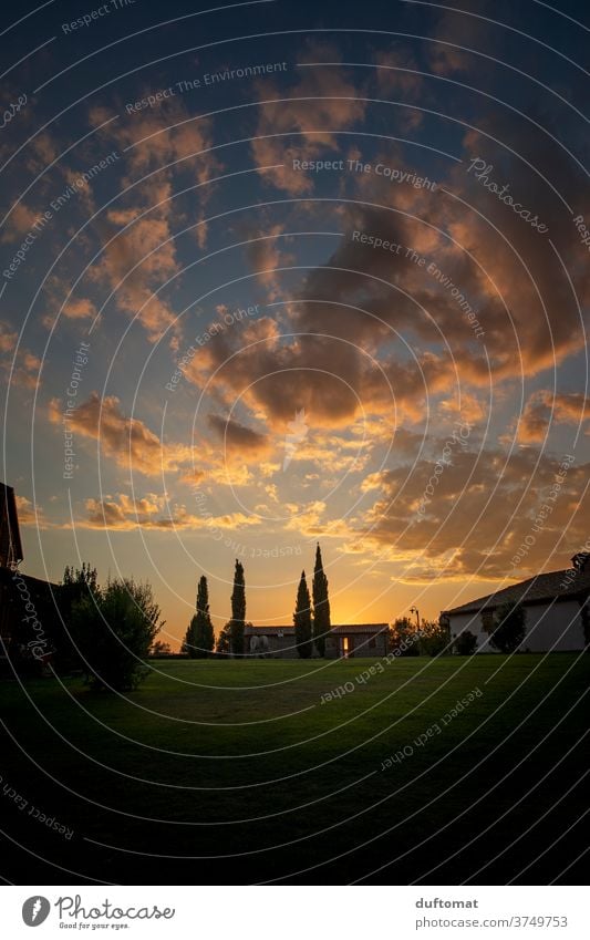 Tuscany, cypresses, sunset Italy Sunset Silhouette Vantage point To enjoy sunshine Lifestyle Twilight Sunset sky silhouette people silhouettes Warmth warming