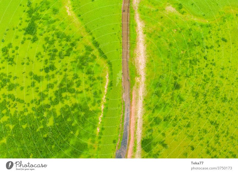 The stream - from above Brook River River bank Water Nature from on high Abstract Dry