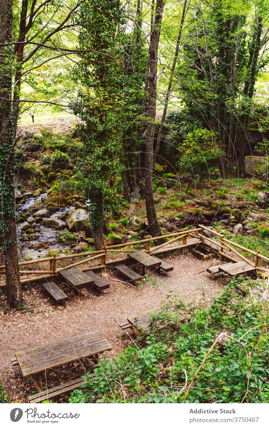 Amazing view of picnic area in forest zone woods scenery green wooden bench table valle del jerte caceres spain nature park tree lumber season lounge fresh calm