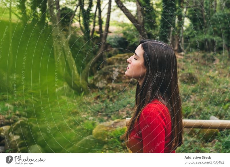 Serene woman relaxing in green forest carefree dreamy nature fresh enjoy peaceful calm harmony female valle del jerte caceres spain eyes closed woods tranquil