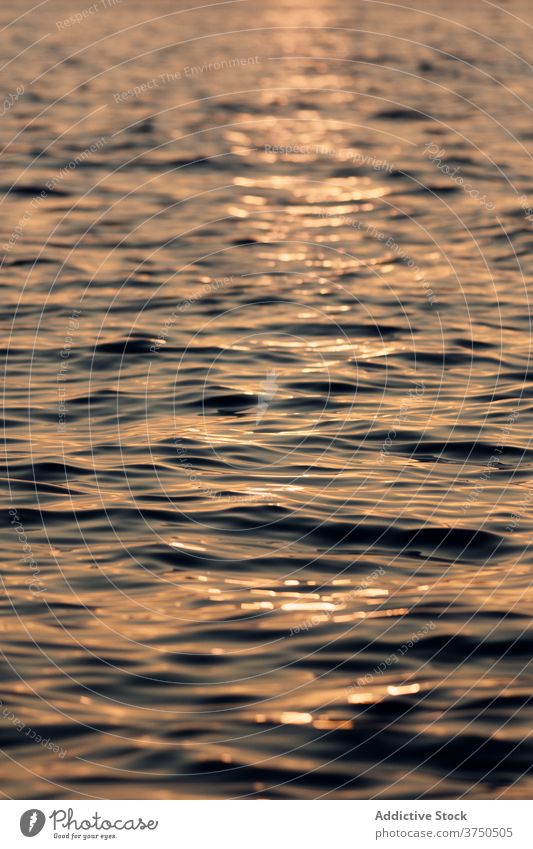 Rippling sea at sunset in evening water ripple calm surface sunlight reflection amazing color sundown scenic dusk twilight idyllic bright serene ocean tranquil