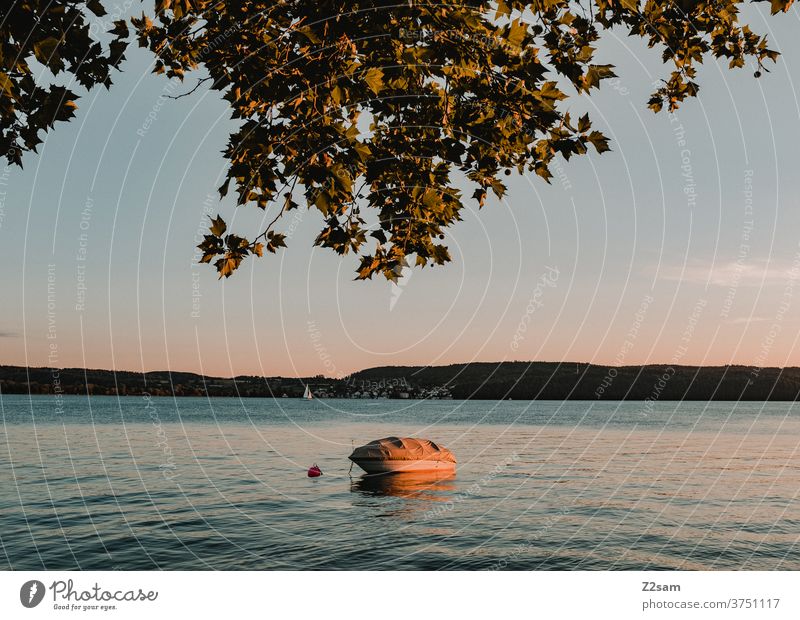 Boat at sunset on Lake Constance boat Sunset Water Summer Nature tree Landscape tranquillity Romance Colour warm vacation holidays travel Baden-Wuerttemberg