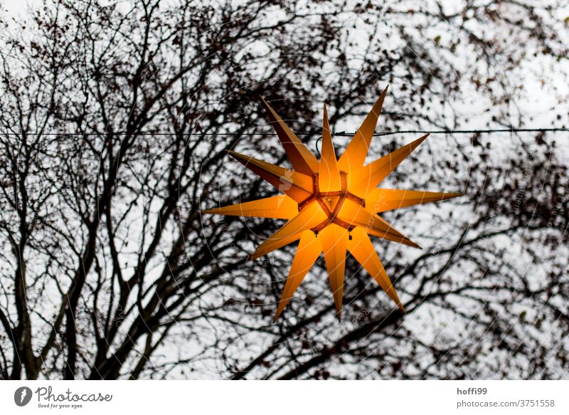 Christmas lighting with tree fragment in front of a grey sky Christmas star Fairy lights Christmas Fair Star (Symbol) Point Christmas fairy lights