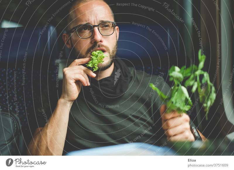 A man thoughtfully eats his celery on the train. He likes greenery and healthy food. Healthy Eating Celery celery stalks green stuff Vegan diet Vegetarian diet