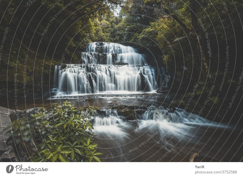 beautiful waterfall Waterfall Flow River Long exposure water feature jungles water terrace cascade stagger Stairs water stairs New Zealand Nature outdoor travel