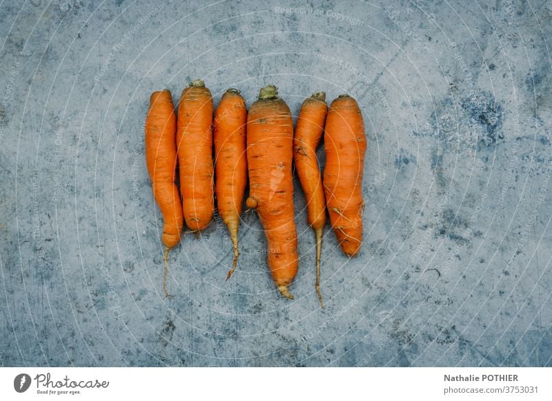 Organic and irregular carrots aligned bio garden vegetable harvest orange vitamin vegetarian root ripe raw plant nutrition nature ingredient healthy food fresh