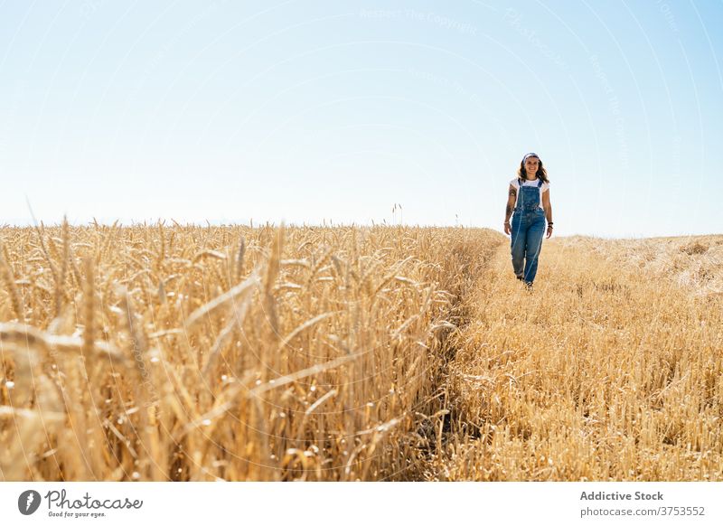 Content woman walking along dry field wheat agriculture enjoy summer golden season carefree female landscape rural vacation country countryside nature sky