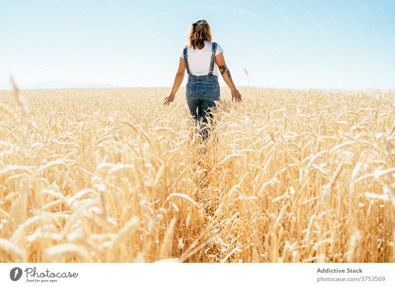 Content woman walking along dry field wheat agriculture enjoy summer golden season carefree female landscape rural vacation country countryside nature sky