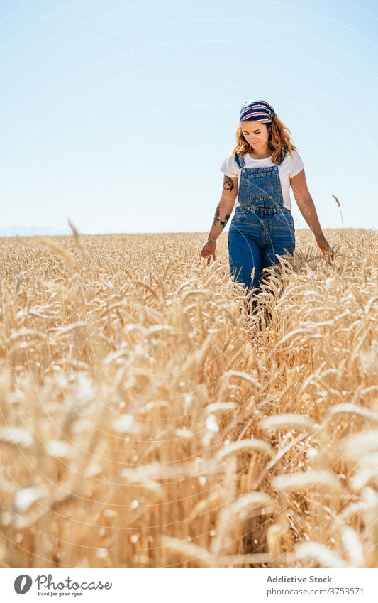 Content woman walking along dry field wheat agriculture enjoy summer golden season carefree female landscape rural vacation country countryside nature sky