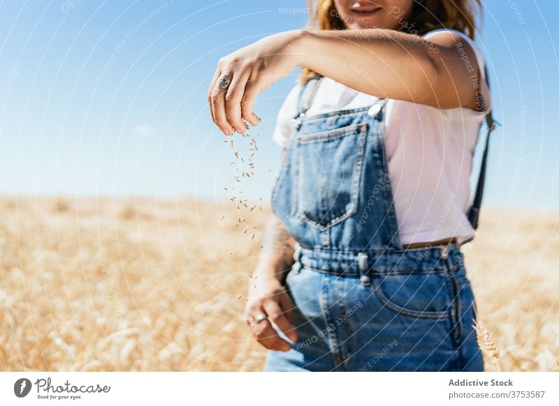 Crop woman with wheat grain in countryside pour field farmer golden cereal seed rural female agriculture harvest cultivate fresh organic natural plant stand