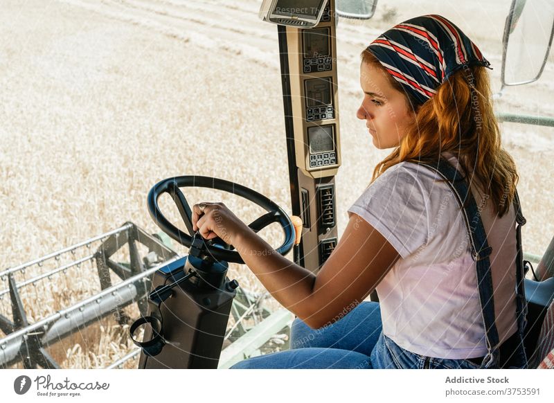 Focused woman operating agricultural machine farm combine harvest operate collect season field agriculture female wheat rural job transport vehicle equipment