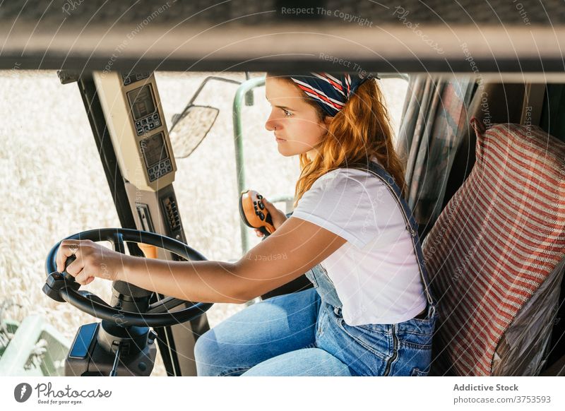 Focused woman operating agricultural machine farm combine harvest operate collect season field agriculture female wheat rural job transport vehicle equipment