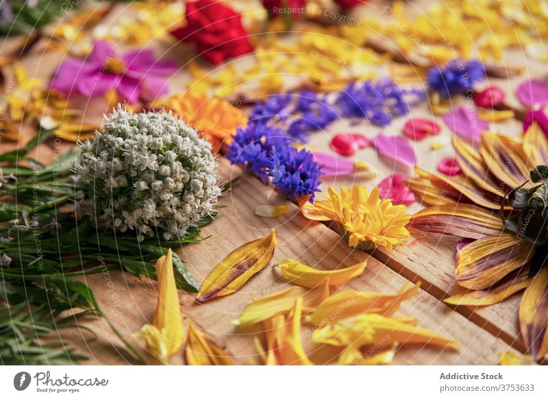 Colorful flowers on wooden table floral composition bud petal arrangement delicate blossom plant color assorted fresh natural bright romantic bloom design