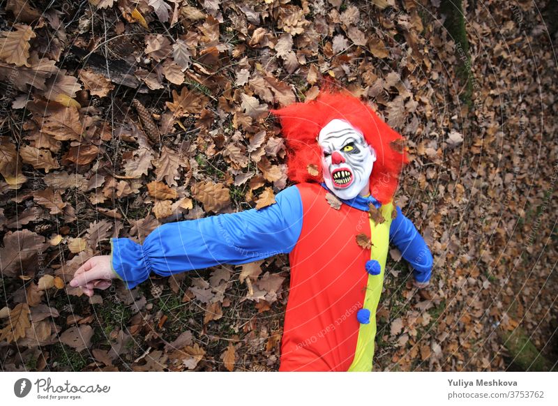 Halloween party. Creepy clown with red hair lies in autumn leaves Hallowe'en Party Clown costume clown overalls Red Autumn Forest holidays October festival