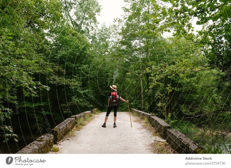 Unrecognizable traveler on stone bridge in woods forest explore vacation summer relax admire nature tourist backpack wooden stick shabby adventure tourism