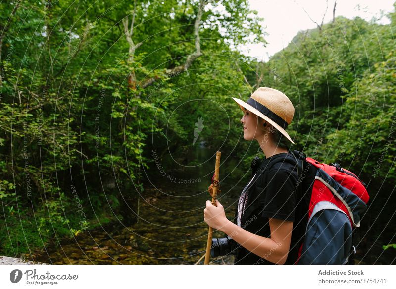 Traveler standing on path in forest tourist backpack trail travel woods nature vacation adventure hat journey traveler walk holiday summer activity trekking